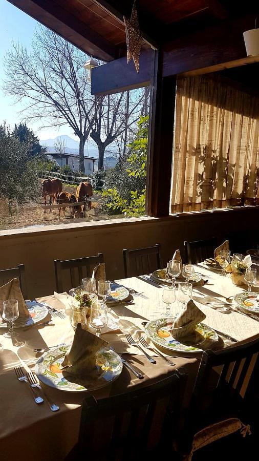 Belvedere Ostrense La Collina Dei Cavalieriヴィラ エクステリア 写真