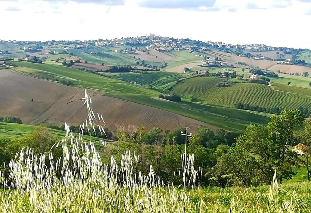 Belvedere Ostrense La Collina Dei Cavalieriヴィラ エクステリア 写真