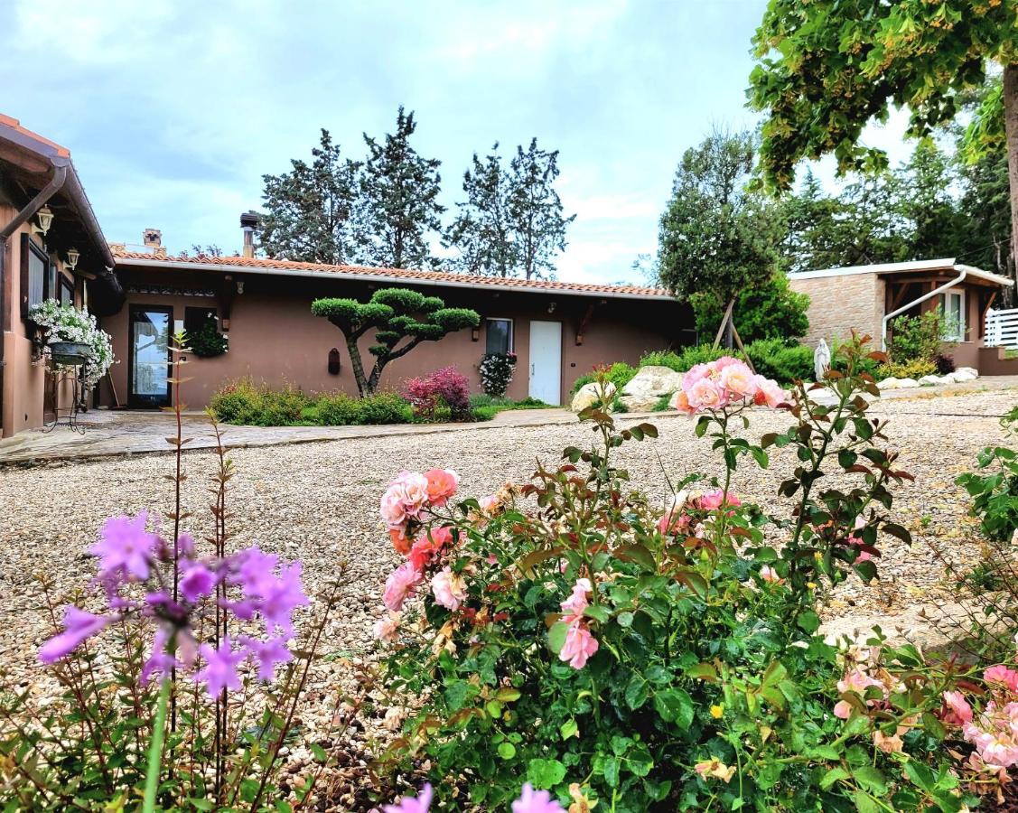 Belvedere Ostrense La Collina Dei Cavalieriヴィラ エクステリア 写真