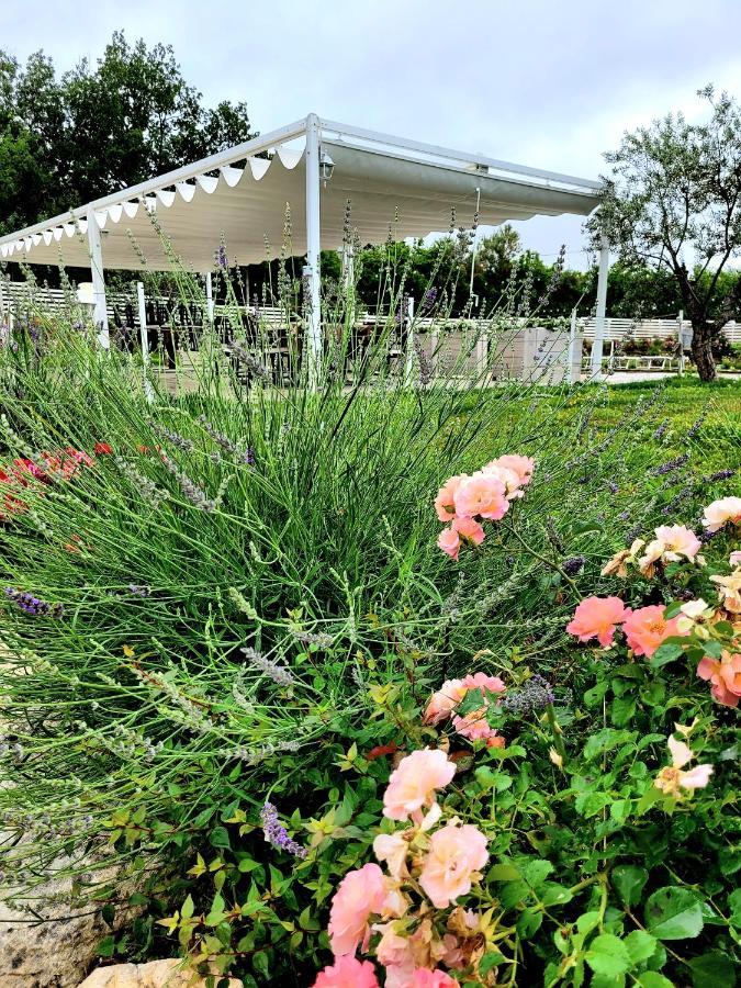 Belvedere Ostrense La Collina Dei Cavalieriヴィラ エクステリア 写真