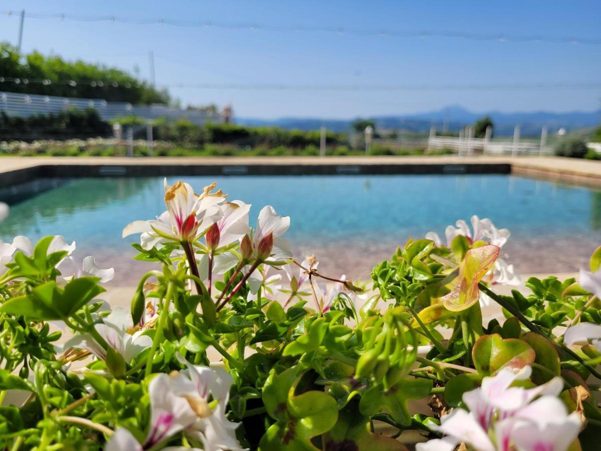 Belvedere Ostrense La Collina Dei Cavalieriヴィラ エクステリア 写真