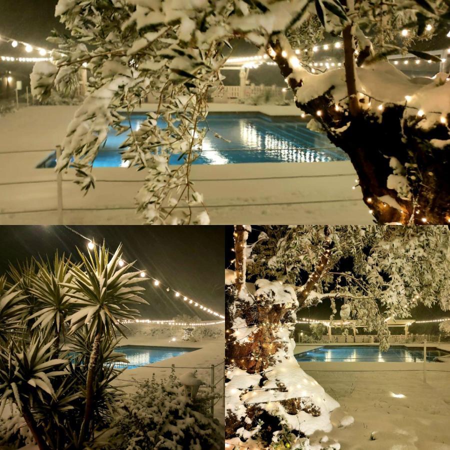 Belvedere Ostrense La Collina Dei Cavalieriヴィラ エクステリア 写真