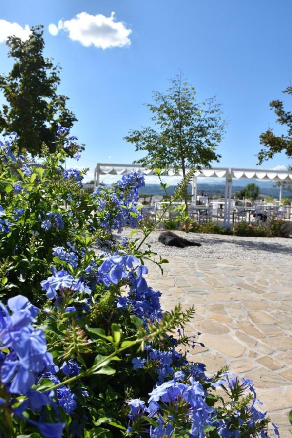 Belvedere Ostrense La Collina Dei Cavalieriヴィラ エクステリア 写真